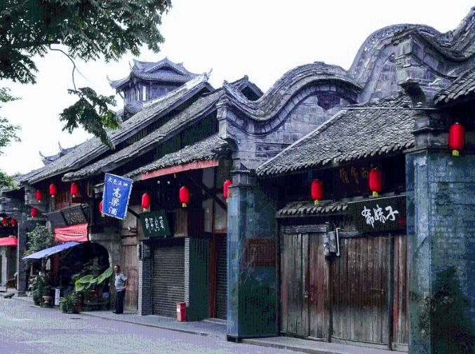 春雨直播app