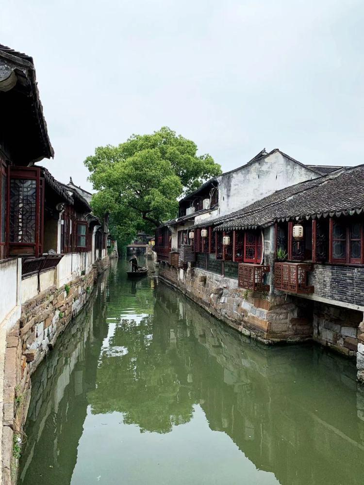 牛胎衣不下的民间疗法-专业问答平台